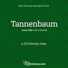 Today S Word Of The Day Is German Literally Fir Tree Wotd Wordoftheday Dictionarycom Words Learning L Unusual Words Uncommon Words Dictionary Words