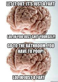 Pin By Dave Pruitt On Funny Scumbag Brain Brain Meme Scumbag
