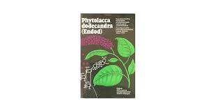 Image result for Phytolacca dodecandra