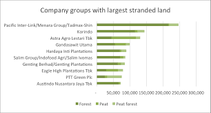 The company have recently launched and unique opportunity to invest in the palm oil plantation. Indonesian Palm Oil S Stranded Assets 10 Million Football Fields Of Undevelopable Land Chain Reaction Research Sustainability Risk Analysis