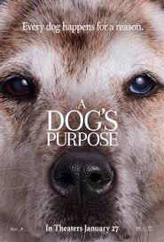Reincarnated as multiple canines over the course of five decades, the lovable pooch develops an unbreakable bond with a kindred spirit named ethan (bryce gheisar). 50 A Dog Purpes Ideas A Dogs Purpose A Dogs Purpose Movie Dogs
