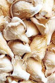 Research has shown that oyster shrooms may help lower cholesterol. Oyster Mushrooms 101 Buying Cleaning Recipes And More