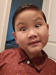 2 brothers looking for a new home. Owner can't keep them. Colchester area