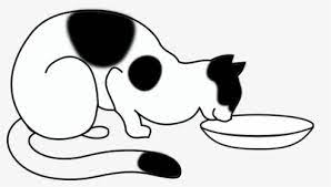 Canned food can be fed to increase your cat's protein intake and decrease their carbohydrate intake. Gato Taca Black Comer Animal De Estimacao Draw A Cat Eating Hd Png Download Kindpng