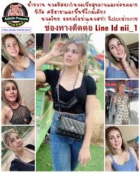 Check spelling or type a new query. à¸™à¸²à¸™à¸² Kimme23234921 Twitter