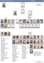 Genovese Crime Family Chart Related Keywords Suggestions