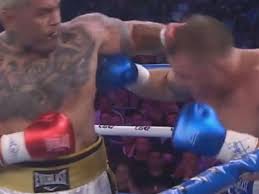Gallen won the fight by unanimous decision. Tim Tszyu Vs Morgan Ko Win Paul Gallen Defeats Mark Hunt Via Unanimous Decision