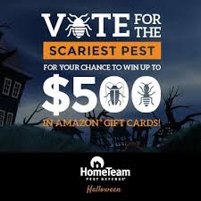 Hometeam Pest Defense Halloween Giveaway Ends 10 31 Hometeamhalloween Win Gift Card Home Team Halloween