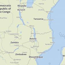 Image result for Oxyrhachis