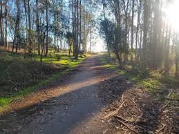 Megan youngren is set to make history on feb. Megan Youngren East Bay Skyline National Recreation Trail Ca 2021 02 07 Fastest Known Time