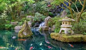 Resultado de imagem para Jardins com cascatas