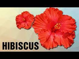 How To Pronounce Hibiscus Pronunciation In Hindi Flowers Hd Lehren Kids Youtube