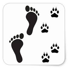 Learn how to draw step by step in a fun way!come join and follow us to learn how to draw. Dog Paw Prints With Human Foot Print Square Sticker Zazzle Com Paw Drawing Foot Tattoos Dog Print Tattoo