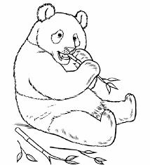 Maybe you would like to learn more about one of these? Printable Panda Coloring Pages For Adults Coloring And Drawing