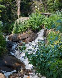 Jonah Tull (@jtull10) • Instagram photos and videos