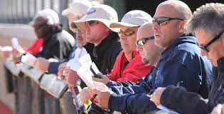How Do I Become A Sports Scout? - Sports Management Degree Guide