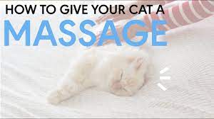 Check spelling or type a new query. How To Give A Cat A Massage 12 Steps To Kitty Bliss Youtube
