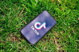 How To Switch Or Change My Personal Tiktok Account To Pro Account Quick And Easy Bullfrag