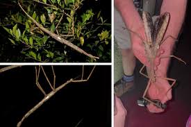 Katie clark onlyfans negative, she was extremely busy I