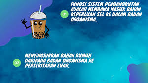Fungsi Sistem Pengangkutan Dalam Organisma Youtube