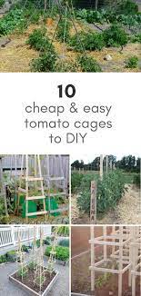 Either way, we present a variety of diy tomato cages for the thrifty and spendthrift alike. 10 Ideas For Homemade Tomato Cages Cheap Easy Small Garden Plans Tomato Cages Tomato Cage Diy