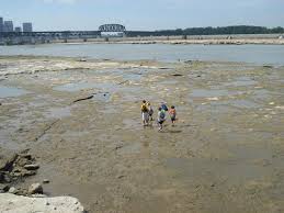 This park has the largest exposed devonian fossil beds in the world. Devonian Fossil Beds Ohio River Picture Of Falls Of The Ohio State Park Clarksville Tripadvisor