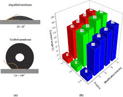 Renewal application for cogeneration licence for komplek kejuruteraan tractors, puchong, selangor d.e. Superhydrophobic Ceramic Hollow Fibre Membranes For Trapping Carbon Dioxide From Natural Gas Via The Membrane Contactor System Springerlink