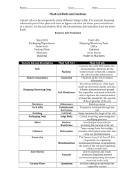 Notes (partial) the main components of a typical human cell include, the plasma membrane, the cytoplasm, including the organelles and peroxisomes are membranous vesicles that are pinched off from the rough er. Name Class Date Plant Cell Parts And Functions A Plant Cell Can