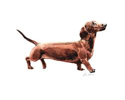 A simplification of the logic of relations. Dachshund Wiener Dog Painting By Laura Row
