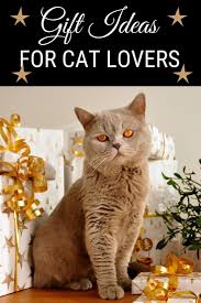 Purrfect Gift Ideas For Cat Lovers Cat Gifts For Cat Lovers Cat Gifts Cat Lover Gifts Cat Lovers