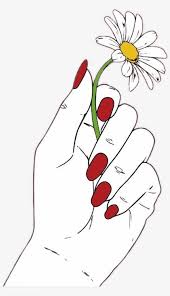 Download Daisy Flower Red Hand Nails White Draw Tumblr Drawing Of Hands Holding Flowers Png Hands Holding Flowers Flower Drawing Daisy Flower Drawing