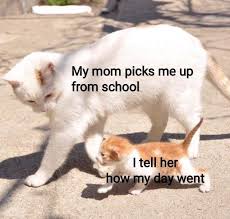 Wholesome Animal Memes To Start The Week Off Right In 2020 Really Funny Memes Funny Relatable Memes Stupid Funny Memes