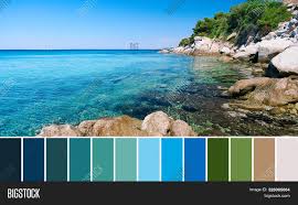 The page contains green and similar colors including their accompanying hex and rgb codes. Color Matching Palette Image Photo Free Trial Bigstock