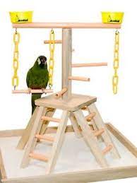 Love this but the food bowl needs to be lower. Parrot Perch Pet Bird Play Stand Table Top Perch Play Gym 20 757822000441 Ebay