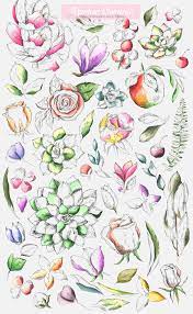 Free for commercial use no attribution required high quality images. Botanical Marker Collection On Behance