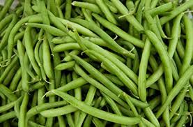Growing green beans is a great garden twofer. Growing Green Beans In Ohio Dengarden