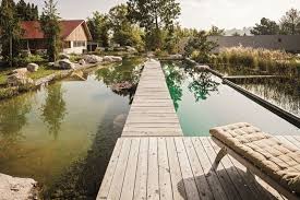 Natural Pool By Balena Gmbh Natural Pool Swimming Pools Courtyard Pool
