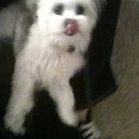 Cruel Irony (Detective Logan Cooper #2) by Elliot York