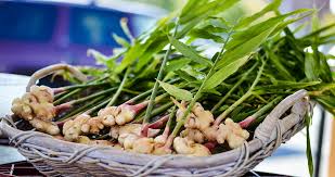 Ginger, nutrition fact, Health Benefits,