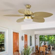 Image result for leaf ceiling fan