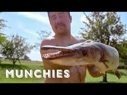 Check spelling or type a new query. Cooking Alligator Fish Tacos The Ultimate Taco Tour Of Mexico 24hourhiphop