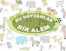 Kedicik Miyavv Merhaba Ben Kedi Dun Dogdum Uc Kardesimle Beraber Henuz Goremiyorum Birkac Gun Icinde Gozlerim Gormeye Baslay Hayvanlar Ale Anaokulu Sinifi