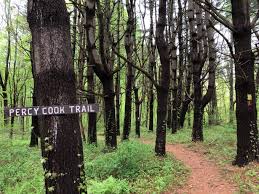 Doris Chamberlain Nature Preserve