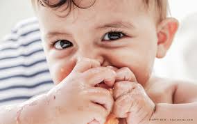 Baby Led Weaning Happy Blw