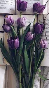 Garden Design Purple Tulips Purple Tulips Bunga Tulip Tulips Garden Tulip Bunga Design Garden Purpl Purple Tulips Flower Phone Wallpaper Flower Aesthetic