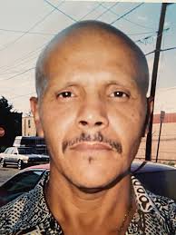 Contributions to the tribute of Miguel Angel Suarez