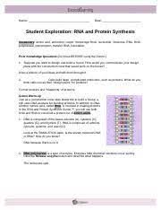 In the rna and protein synthesis gizmo™, you will use both dna and rna to page 4/7 rna and protein synthesis gizmo answer key associated to rna and protein synthesis gizmo answer key, proper planning is definitely the critical to owning an effective work interview. Rna And Protein Synthesis Gizmo Explorelearning Pdf Rna And Protein Synthesis Gizmo Explorelearning Assessment Questions Print Page Aiden Connally Course Hero