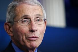 A smiling fauci calls reporting to biden 'liberating' after 'uncomfortable' year with trump. The Tooth Fairy Won T Catch The Virus Fauci Assures Seven Year Old