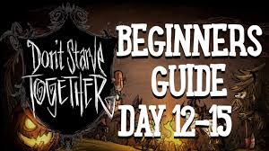 In a harsh game like don't starve, everything has consequences, and the stress will certainly take its toll on your character. Don T Starve Together Guide Beginner S Guide Day 12 15 Thermal Stone Oasis Cactus Sanity Youtube