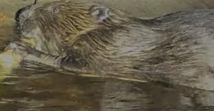 Mrs poindexter sex decided to see Gina after a considerable